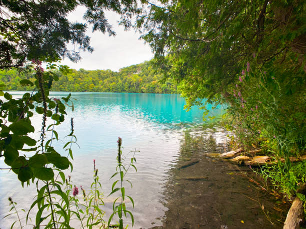 parco statale di green lake - watkins glen foto e immagini stock