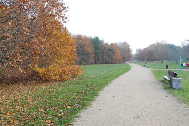 istock Beautiful park Reagan in Gdansk.Poland. 1286022149