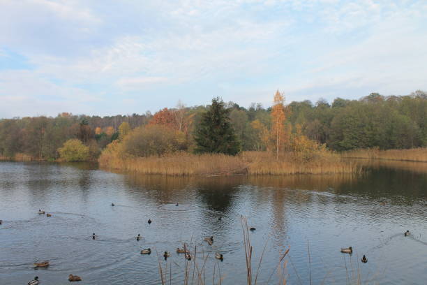 istock Beautiful park Reagan in Gdansk.Poland. 1286022325