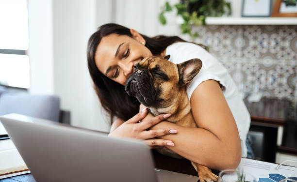 istock A house is never lonely where a loving dog waits 1286023860