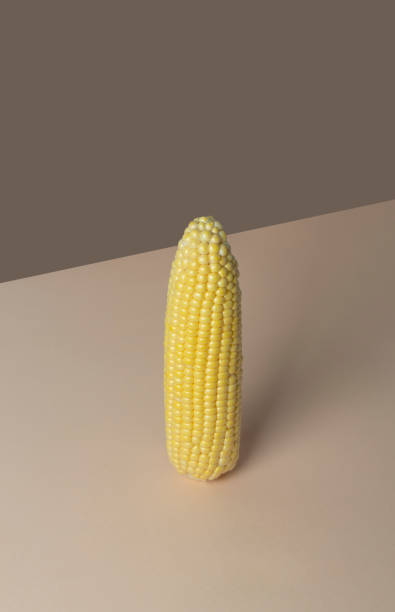 istock Yellow corn on a beige pastel background. Minimalistic concept 1286024992