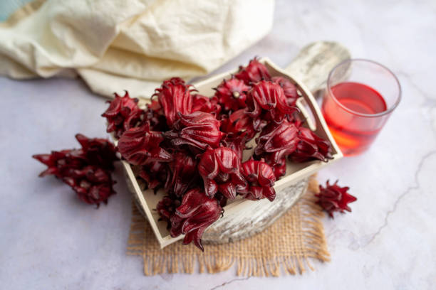 istock Roselle, freshly picked to make tea or jam and jelly. 1286025092