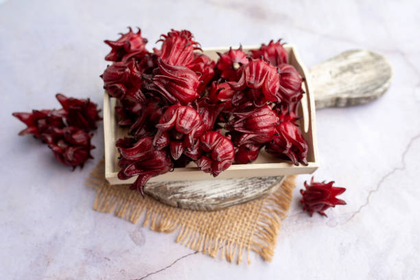 istock Roselle, freshly picked to make tea or jam and jelly. 1286025232