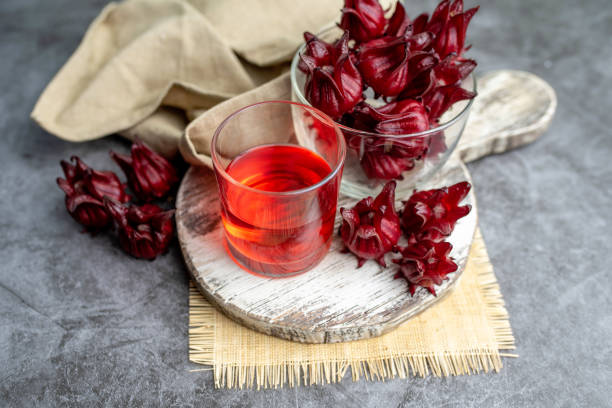 roselle, fraîchement cueillie pour faire du thé ou de la confiture et de la gelée. - sepal photos et images de collection