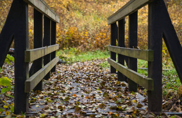 istock Black wooden railing leading to the autumn forest 1286026313