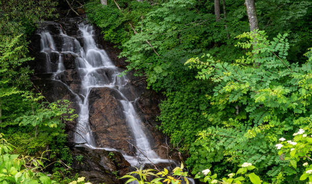 освежающий каскад вудфин вдоль блу ридж паркуэй - blue ridge mountains stream forest waterfall стоковые фото и изображения