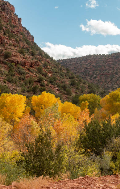 istock Scenic Verde River Canyon in Autumn 1286026470