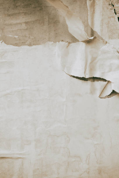 istock Old ripped torn paper crumpled creased posters grunge textures backdrop surface backgrounds placard Black and White 1286026484