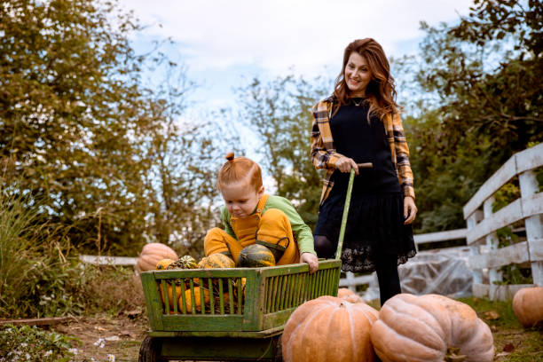 istock Modern Mother and little son in pumpkin pitch 1286027433