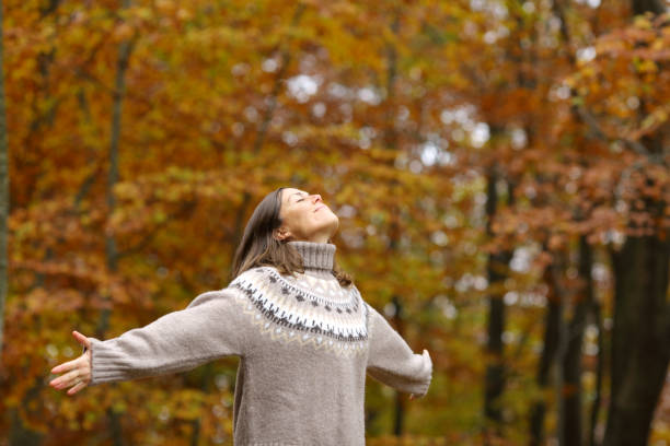 istock Middle age woman stretching arms in a forest in autumn 1286027481