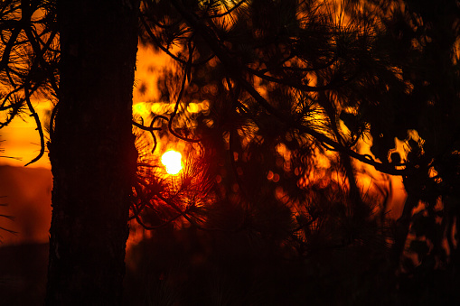 Sunset behind a fence looking over a mountain