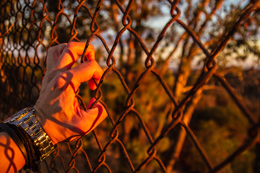 Hand holding on chain link fence for freedom, during human Rights Day, child labor, violence concept
