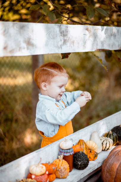 istock Present to you the best Pumpkin on the farm 1286028735