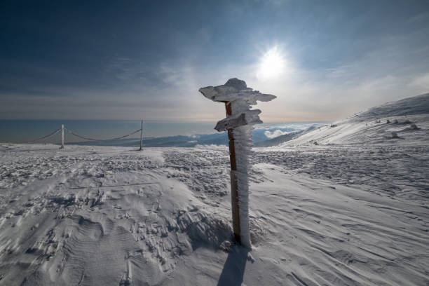 Snow covered pointer near path on snowy mountain plateau and sunshine in sky. Magnificent sunny day on picturesque beautiful alps ridge.