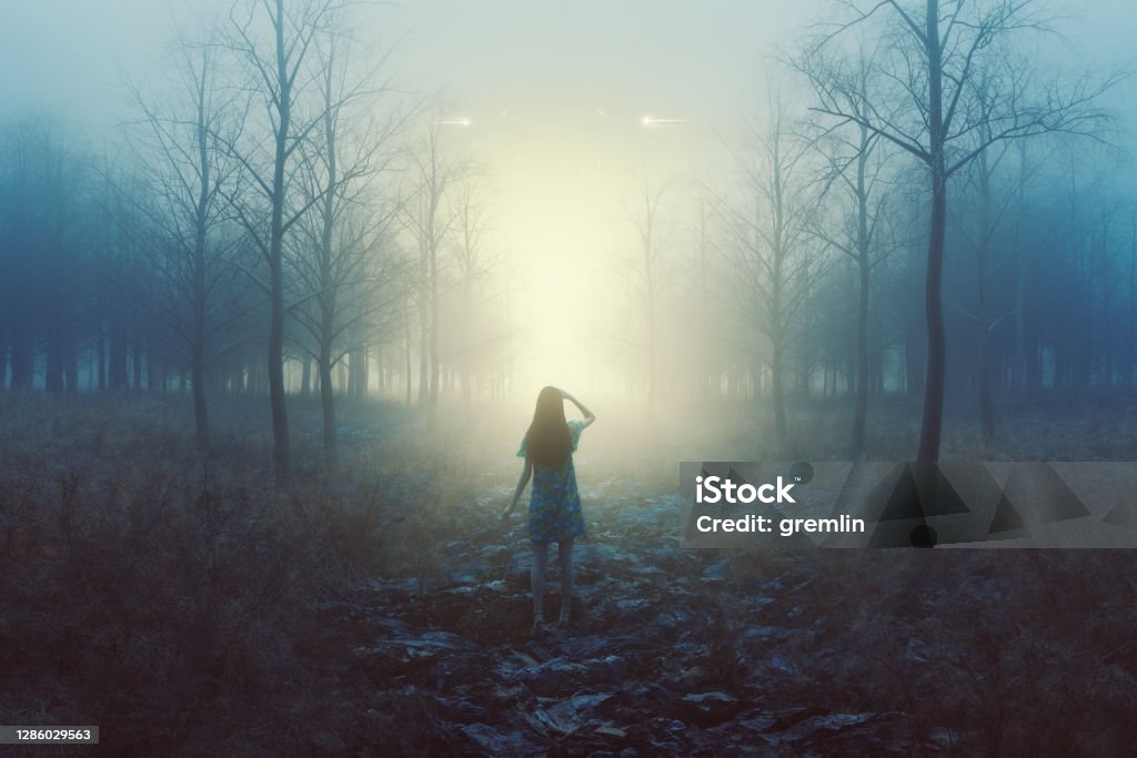 Woman in the forest with mysterious lights at night Woman in the forest with mysterious lights at night, 3D generated image. UFO Stock Photo