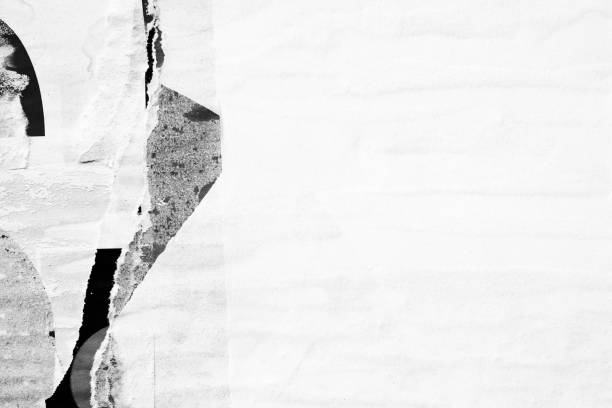 istock Old ripped torn paper crumpled creased posters grunge textures backdrop surface backgrounds placard Black and White 1286029689