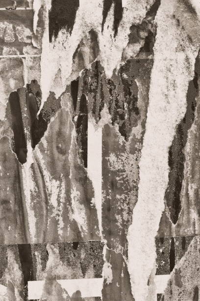 istock Old ripped torn paper crumpled creased posters grunge textures backdrop surface backgrounds placard Black and White 1286029845