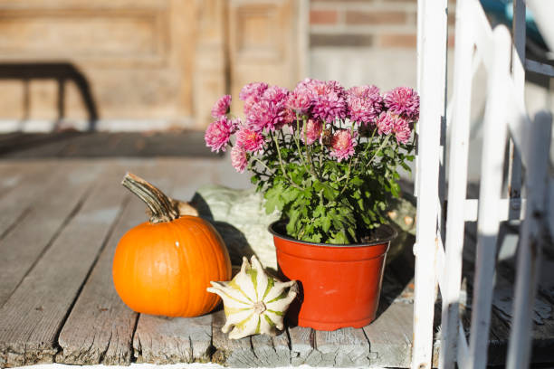 istock Pumpkins on a porch 1286031540