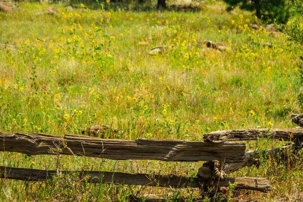istock A zigzag fence made from old lumber 1286033485