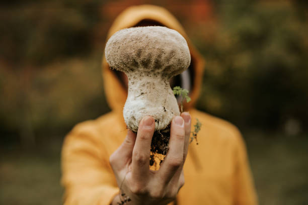 Man in yellow raincoat is holding big mushroom in the woods.