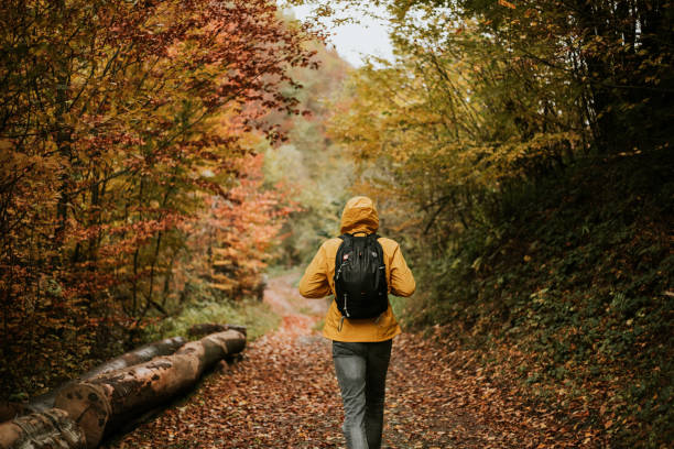 istock Man in yellow raincoat with backpack walking in the woods 1286034368