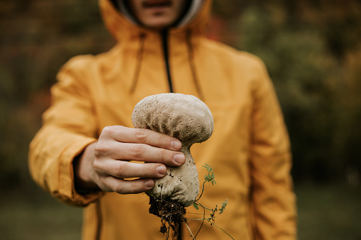 Man in yellow raincoat is holding big mushroom in the woods.