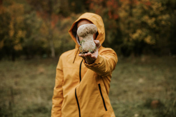 Man in yellow raincoat is holding big mushroom in the woods.