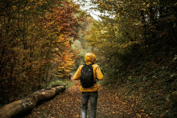 istock Man in yellow raincoat with backpack walking in the woods 1286034490