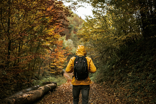 Man in yellow raincoat with backpack walking in the woods
