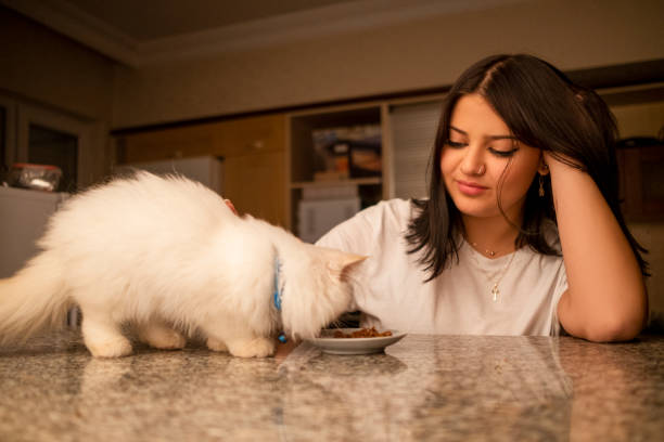 istock Persian cat and beautiful Iranian girl. 1286035553