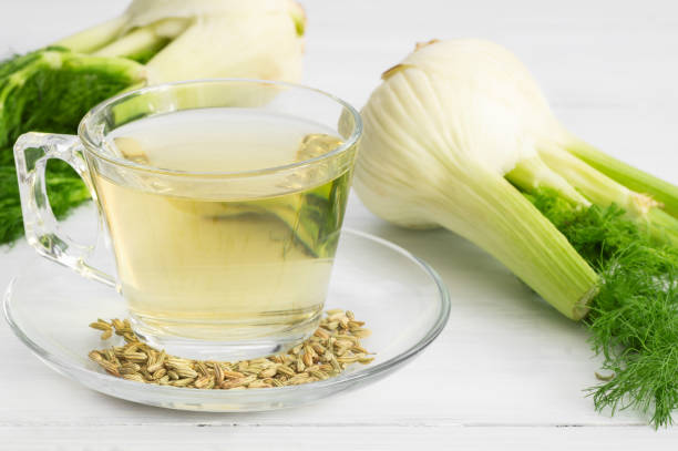 tè di finocchio infusione di erbe in tazza di vetro o tazza con semi di finocchio essiccati e bulbi di finocchio. concetto di fondo della medicina alternativa (foeniculum vulgare) - tè alle erbe foto e immagini stock