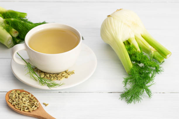 té de hinojo de infusión de hierbas en taza de vidrio o taza con semillas de hinojo seco y bulbos de hinojo. concepto de antecedentes de medicina alternativa (foeniculum vulgare) - fennel fotografías e imágenes de stock