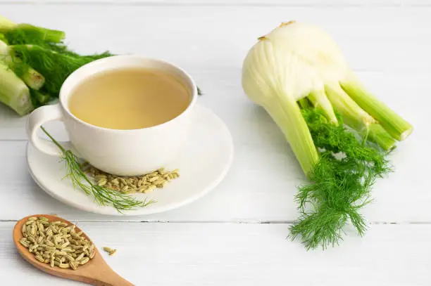 Herbal infusion fennel tea in glass cup or mug with dried fennel seeds and fennel bulbs. Alternative medicine background concept (Foeniculum vulgare)