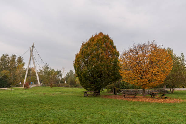 istock City park on an autumn morning 1286040228