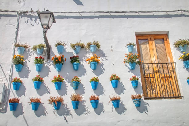 istock Flowerpots decorating the facades in Vejer de la Frontera, Spain 1286044230