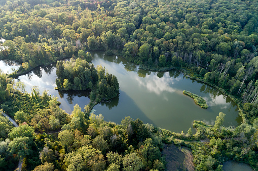 Forest and lakes from aerial perspective, idyllic landscape on a sunny summer day.