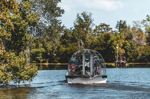 Airboat tours in the swamps and bayous of Mississippi River Delta region outside New Orleans.