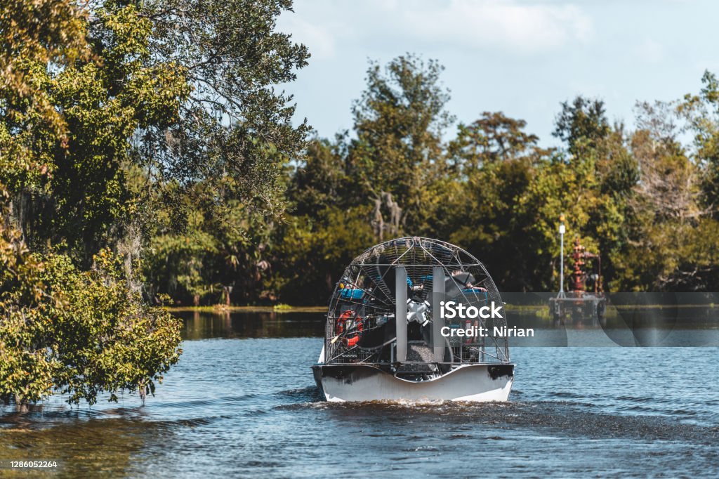 Airboat ride in the swamps Airboat tours in the swamps and bayous of Mississippi River Delta region outside New Orleans. Swamp Stock Photo