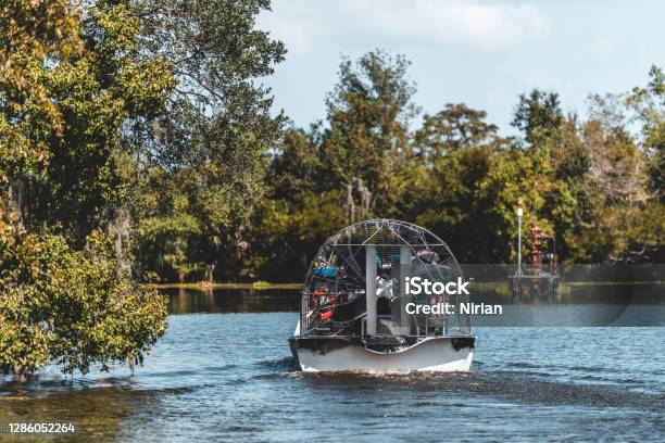 Airboat Ride In The Swamps Stock Photo - Download Image Now - Swamp, Exploration, Louisiana