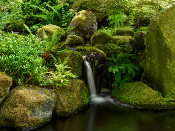 istock Small Waterfall Moss Covered Boulders Japanese Garden Oregon 1286056580