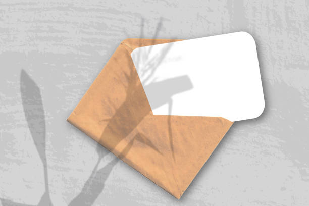 istock An envelope with sheet of textured white paper on the gray background of the table. Mockup overlay with the plant shadows. Natural light casts shadows from a Spikelets and leaves of the plant 1286058875