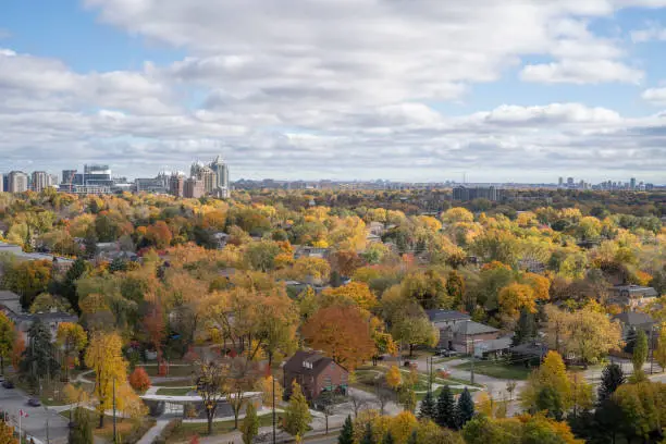 View in North York with autumn leaves on a sunny day in Ontario Canada