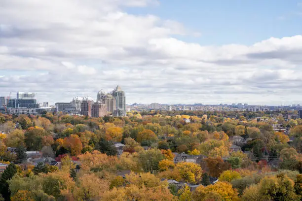 View in North York with autumn leaves on a sunny day in Ontario Canada