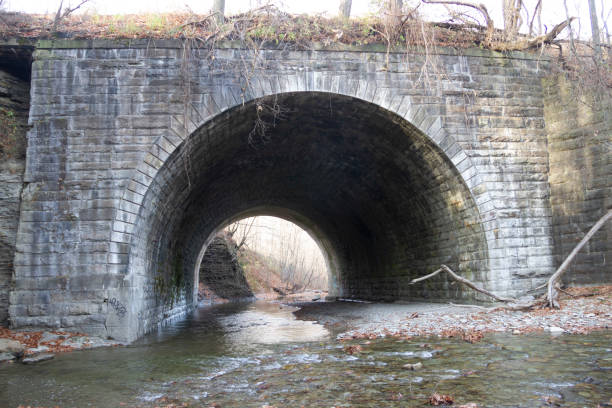 istock Creek running through Tunnel under the Railroad 1286062737