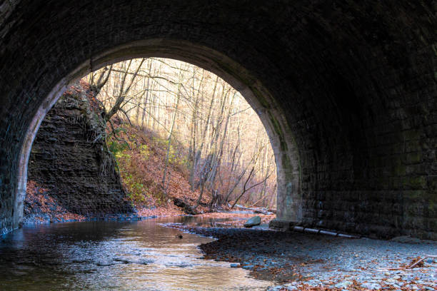 istock Looking Through a Tunnel under the Railroad 1286062805