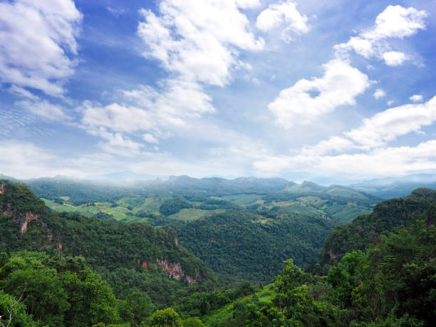 istock Green treetops on the mountain against blue sky. 1286062843