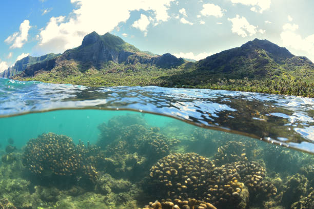 istock Ahano Beach - Nuku Hiva 1286068382