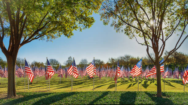 Photo of Field of American flags displayed on the honor of Veterans Day celebration