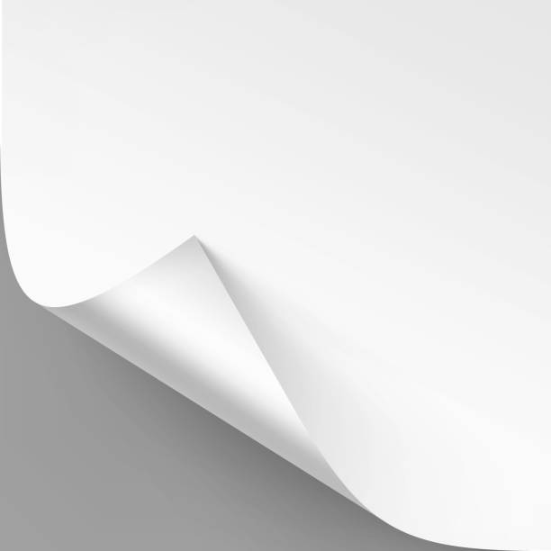 istock Vector Curled corner of White paper with shadow Mock up Close up Isolated on Gray Background 1286074108