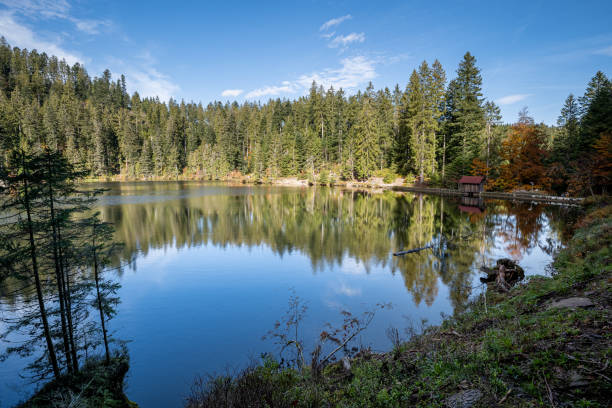 istock Panoramic shot of a lake surrounded by greenery in Glaswaldsee, Black Forest, Germany 1286076449